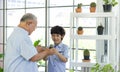 The retired grandfather spent the holidays with his grandson taking care of the indoor garden. He is describing the