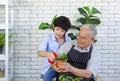 The retired grandfather spent the holidays with his grandson taking care of the indoor garden. Relaxing atmosphere on vacation at