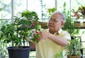 The retired grandfather spent the holidays taking care of the indoor garden