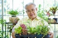 The retired grandfather in yellow shirt offered a basket full of various kinds of ornamental plants on the front. Morning