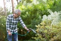 Retired man watering plants in the garden Royalty Free Stock Photo