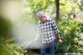 Retired man watering plants in the garden Royalty Free Stock Photo