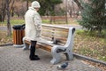 Retired woman is feeding a squirrel and pigeons in the park, standing near the bench, in the autumn