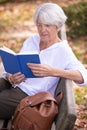 retired woman reading book on bench Royalty Free Stock Photo