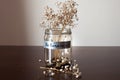 A retirement concept jar with coins and dried plant Royalty Free Stock Photo
