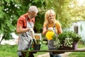 Retirement Hobbies. Happy Senior Spouses Tending To Potted Plants Outdoors Royalty Free Stock Photo