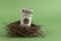 Retirement Nest Egg Royalty Free Stock Photo
