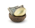 Retirement Nest Egg Royalty Free Stock Photo