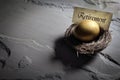 Retirement savings golden nest egg background Royalty Free Stock Photo