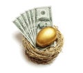 Retirement savings golden nest egg Royalty Free Stock Photo