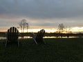 retirement and two chairs looking at the sunset in the swamp Royalty Free Stock Photo