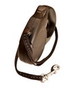 Retractable leash for dog Royalty Free Stock Photo