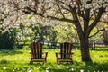 Retreat With Wooden Chairs Under Blossoming Tree