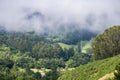 Retreating fog, San Francisco bay area, California