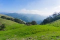 Retreating fog, Sierra Vista Open Space Preserve, south San Francisco bay, California