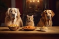 Retriever dogs and cat eating time. Generate ai