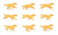 Retriever running animation. Cartoon dog run, motion sequence step 2d character pet, animals doggy poses in movement