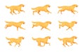 Retriever running animation. Cartoon dog run, motion sequence step 2d character pet, animals doggy poses in movement