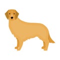 Retriever single icon in cartoon style.Retriever vector symbol stock illustration web.