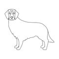 Retriever single icon in outline style.Retriever vector symbol stock illustration web.