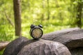 Retro alarm clock in green forest. Abstract photo of time Royalty Free Stock Photo