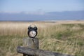 Retro alarm clock in green forest. Abstract photo of time Royalty Free Stock Photo