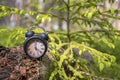 Retro alarm clock in green forest. Abstract photo of time Royalty Free Stock Photo