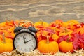 Retro alarm clock with orange pumpkins with fall leaves on straw hay with weathered wood Royalty Free Stock Photo