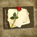 Retro album with rose on the brown background Royalty Free Stock Photo