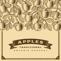 Retro apple harvest card brown Royalty Free Stock Photo