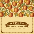 Retro apple harvest card