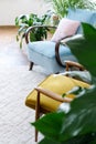 Retro armchairs on the white carpet floor