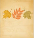 Retro autumn background with colorful leaves.