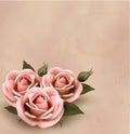 Retro background with beautiful pink roses