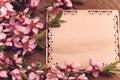 Retro background with branches pink flowers Royalty Free Stock Photo