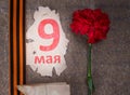 Retro background, may 9 inscription on a piece of paper and St. George ribbon, next to the red carnation