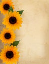 Retro background with yellow flowers.