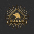 Retro badge logo eagle design with retro sunburst