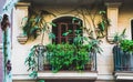 Retro balcony with plants on mediterranean facade and architecture