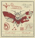 Retro banner with drawing of a butterfly Dead head