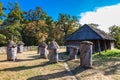 Retro bee hives and traditional ukrainian cottage