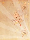 Retro beige old paper autumn background