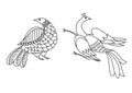 Retro birds pattern