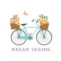 Retro blue bicycle with flowers in baskets icon Royalty Free Stock Photo