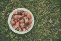 Retro bowl of fresh strawberries on the lawn, top view, toning with a matte effect