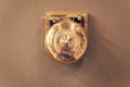 Retro bronze gong. boxing gong. vintage gong alloy. old bell gong on wall. boxing bell. result alarm and final alert