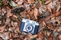 Retro camera in autumn leaves brown