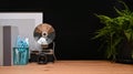 Camera, pencil holder empty frame and houseplant on wooden table.