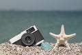 Retro camera, starfish and sea snail on the beach Royalty Free Stock Photo