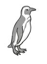 African Penguin or Spheniscus demersus Endangered Wildlife Cartoon Mono Line Drawing